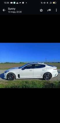 Kia Stinger cena 256000 przebieg: 15500, rok produkcji 2022 z Miłomłyn małe 172